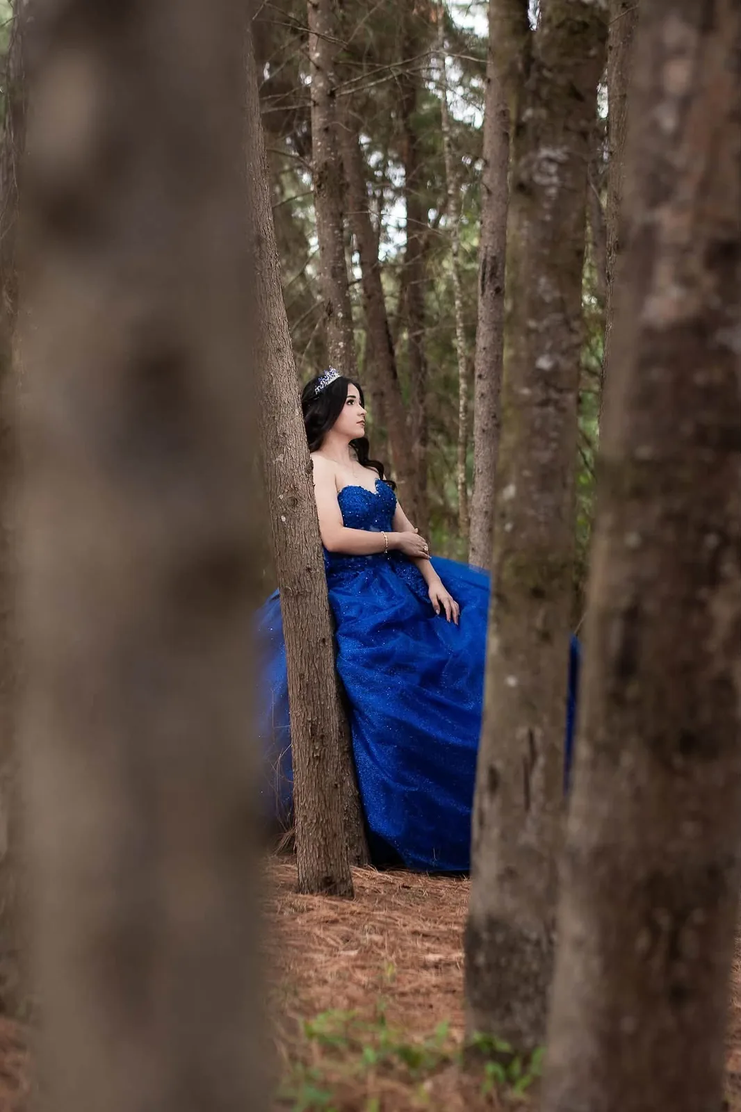 Camila Alejandra con tiara y vestido azul entre los árboles