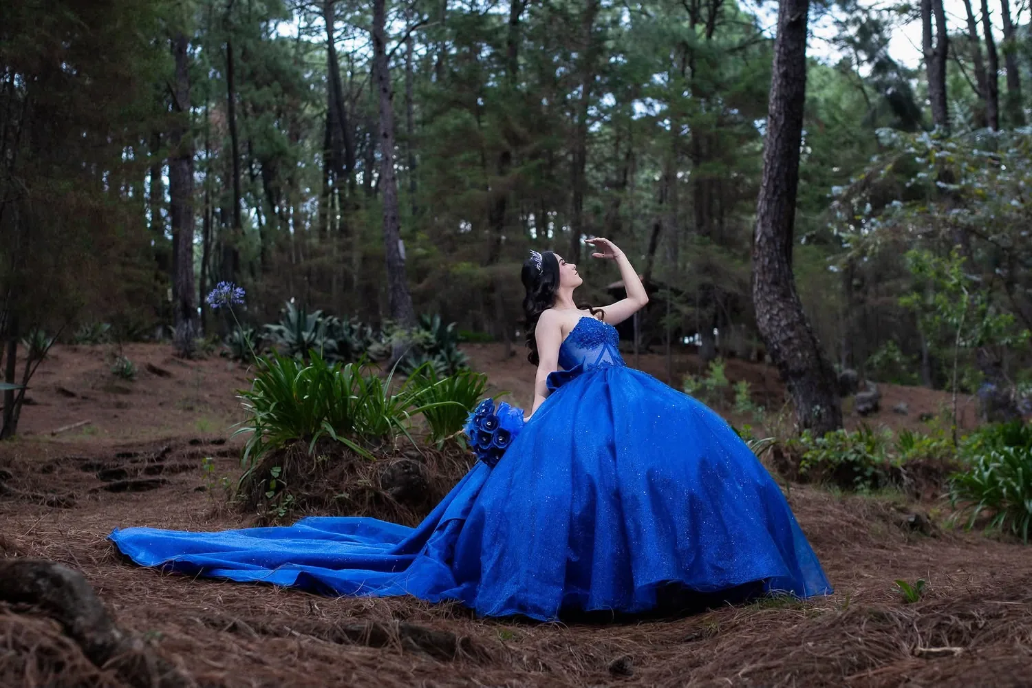 Camila Alejandra con vestido azul entre árboles y flores