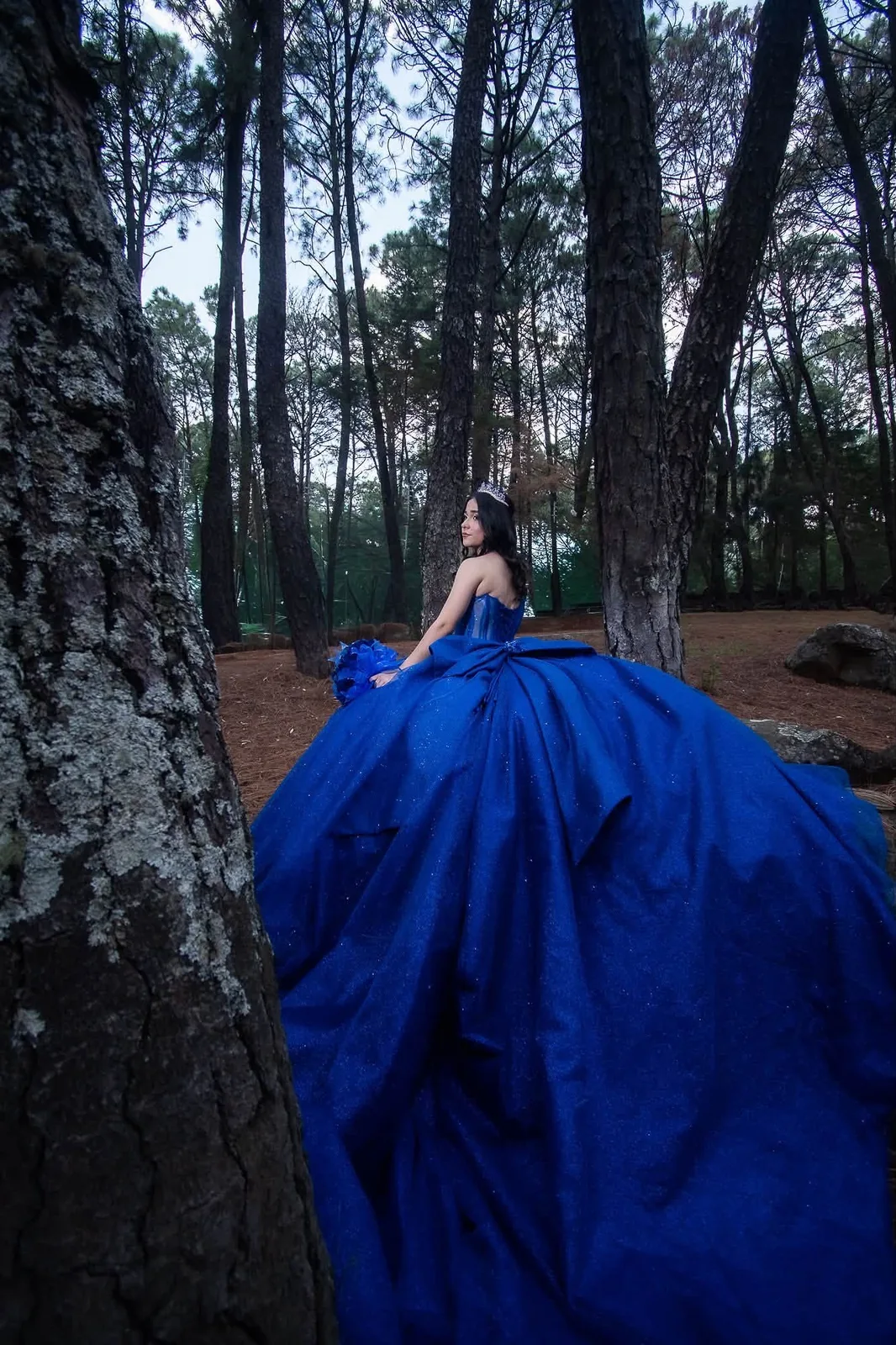 Camila Alejandra con su vestido azul en el bosque
